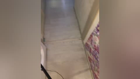 Video of a narrow, dimly lit hallway with beige walls and a white-tiled floor. The left side has a floral-patterned rug, while the right shows a partly visible colorful rug.