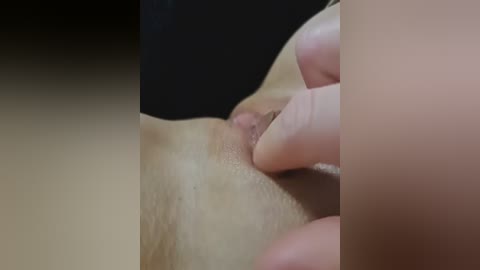 sweetpragg free recording from 