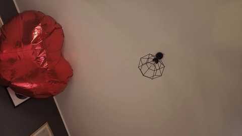 _miray_ free recording from 2026-02-03 07:15:00