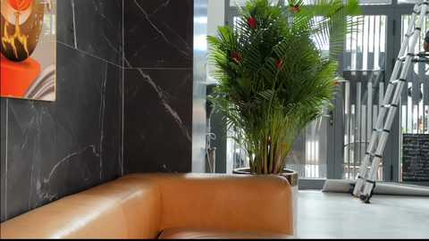 flyingdutchmana free recording from 2026-02-03 00:59:00