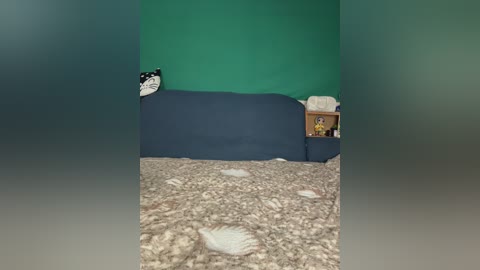 sun_moon free recording from 2026-02-06 01:44:00