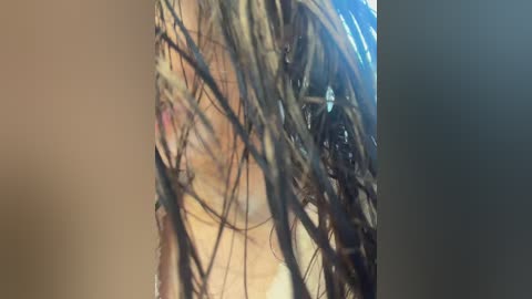 taanni free recording from 2026-02-03 00:59:00