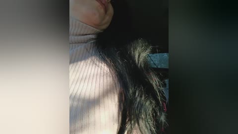 _pypsiki_ free recording from 2026-02-05 00:07:00