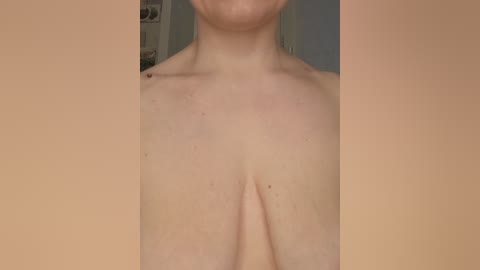 anesteishen free recording from 2026-02-06 01:06:00