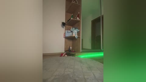 jucielussie free recording from 2026-02-05 00:18:00