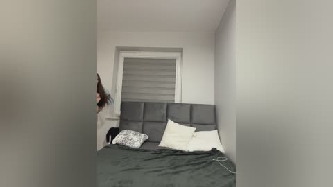 pussydollnet free recording from 2026-02-11 00:35:00