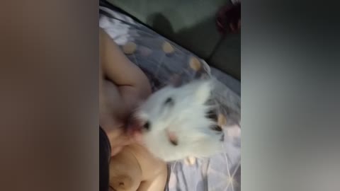 vrealiti5246 free recording from 2026-02-18 00:12:00