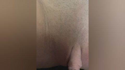 A close-up video of a light-skinned individual's lower abdomen and genitals, showing faint hair follicles and a slightly curved penis with a small head. The background is plain and neutral-toned.