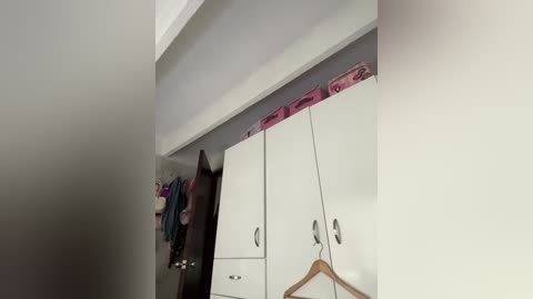 A video of a minimalist bedroom with white built-in wardrobes, a pink and purple quilt, and a brown coat hanging on a hook.