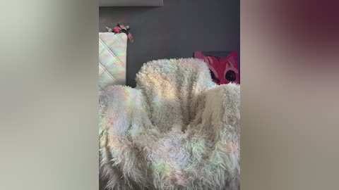 _sweet_alice_ free recording from 2026-02-15 00:09:00