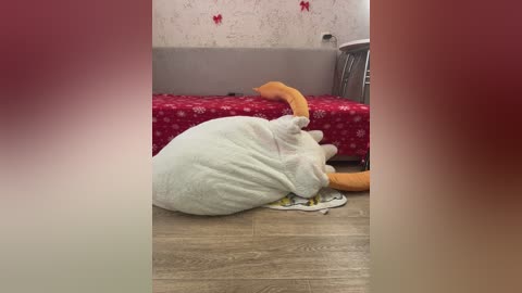 littledelora free recording from 2026-02-06 00:32:00