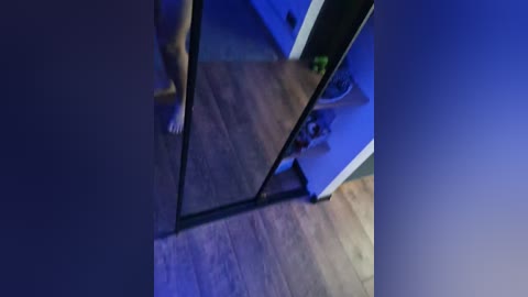 Video of a nude male with light skin, standing in front of a full-length mirror in a dimly lit room with wooden flooring.