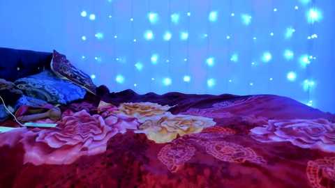 murkalux free recording from 2026-02-06 00:32:00