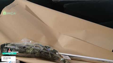 taanni free recording from 2026-02-06 00:32:00