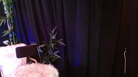 _africayaa_ free recording from 2026-02-15 00:10:00