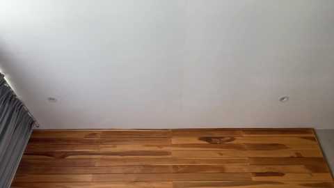 Video of a modern ceiling with a light grey surface and two small recessed lights. Below, a horizontal wooden panel with a warm, natural finish extends to the edge of the frame.