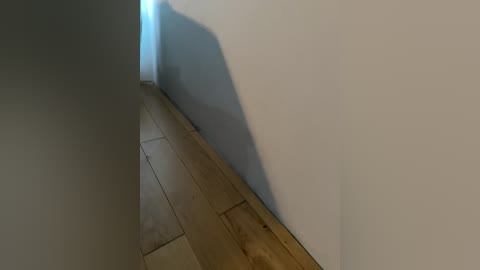 helenmax2005 free recording from 2026-02-07 03:12:00