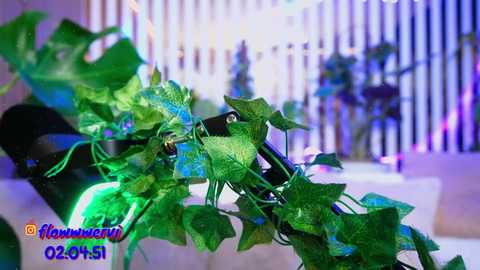 mialiahot free recording from 2026-02-07 01:03:00