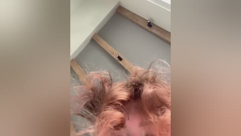 nezukoo free recording from 2026-02-07 01:03:00