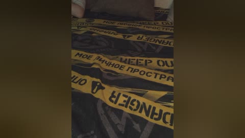 plohishi2 free recording from 2026-02-07 01:03:00