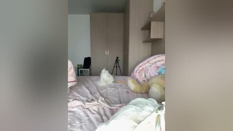 angelicfenix free recording from 2026-02-09 00:55:00