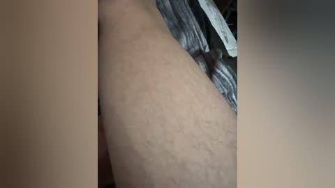 kismet_1 free recording from 2026-02-08 04:15:00