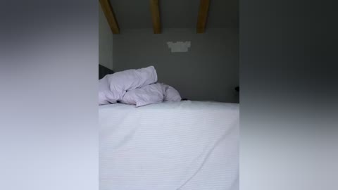 nezukoo free recording from 2026-02-08 04:15:00