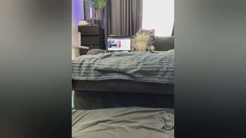 vero19nika free recording from 2026-02-08 00:46:00