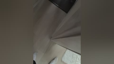 arlinst free recording from 2026-02-09 04:54:00