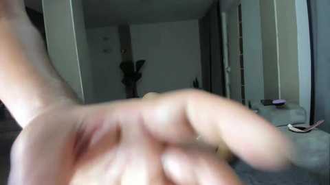 dulceromance free recording from 2026-02-12 00:03:00