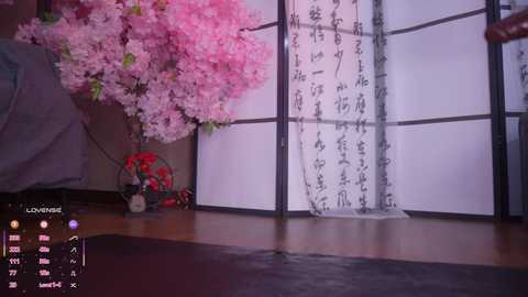 marry_cordy free recording from 2026-02-09 00:20:00