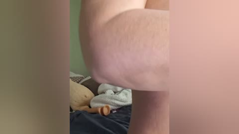 murr_kitty free recording from 2026-02-11 00:35:00