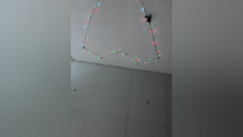 pusydiamond free recording from 2026-02-09 00:17:00