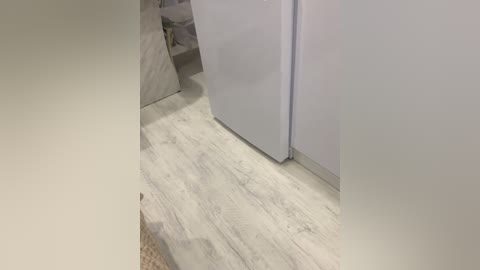 Video of a modern, minimalist bedroom featuring light grey wooden flooring, a beige woven rug, and a white wardrobe with a mirror. The room is well-lit with neutral color tones, creating a serene and clean atmosphere.