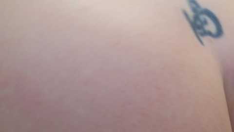 ladybigsmile free recording from 