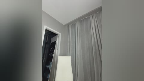 talilia free recording from 2026-02-10 00:17:00