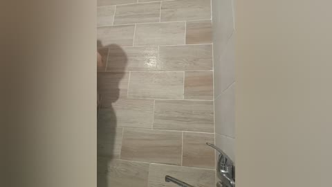 Video of a beige-tiled shower with a shadowy figure, possibly a person, cast on the wall, suggesting movement or presence.