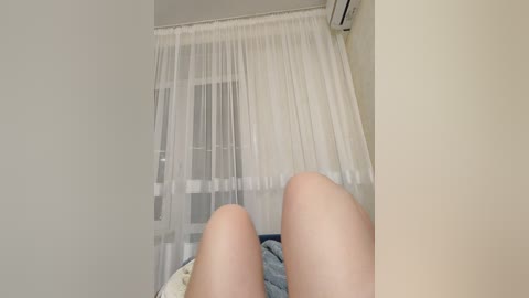 angelia22 free recording from 2026-02-12 00:03:00