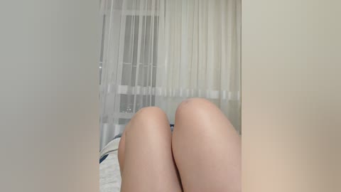 angelia22 free recording from 2026-02-12 00:03:00