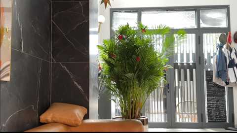 flyingdutchmana free recording from 