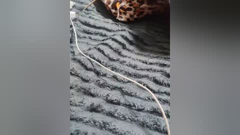 gumalis13 free recording from 2026-02-15 00:45:00