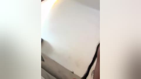 notbellucci free recording from 2026-02-16 03:01:00