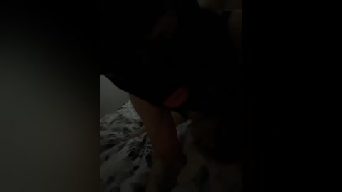 weqwerts free recording from 2026-02-17 00:06:00