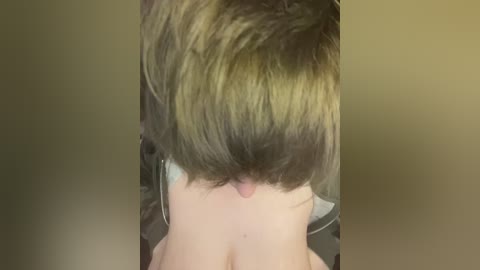 tamagotchigirl free recording from 2026-02-14 12:20:00