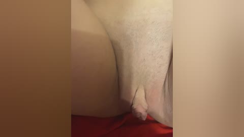 chanel77777 free recording from 