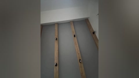 nezukoo free recording from 2026-02-15 00:45:00