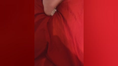 chanel77777 free recording from 2026-02-16 00:18:00