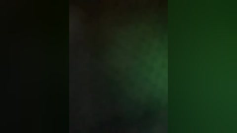 This image is a video of a dark, textured wall with patches of green and black, giving it a somewhat industrial or abandoned feel. The lighting is dim, creating a moody atmosphere.