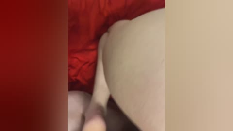 chanel77777 free recording from 2026-02-17 00:09:00