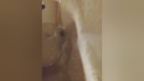 laylay13 free recording from 2026-02-18 00:05:00